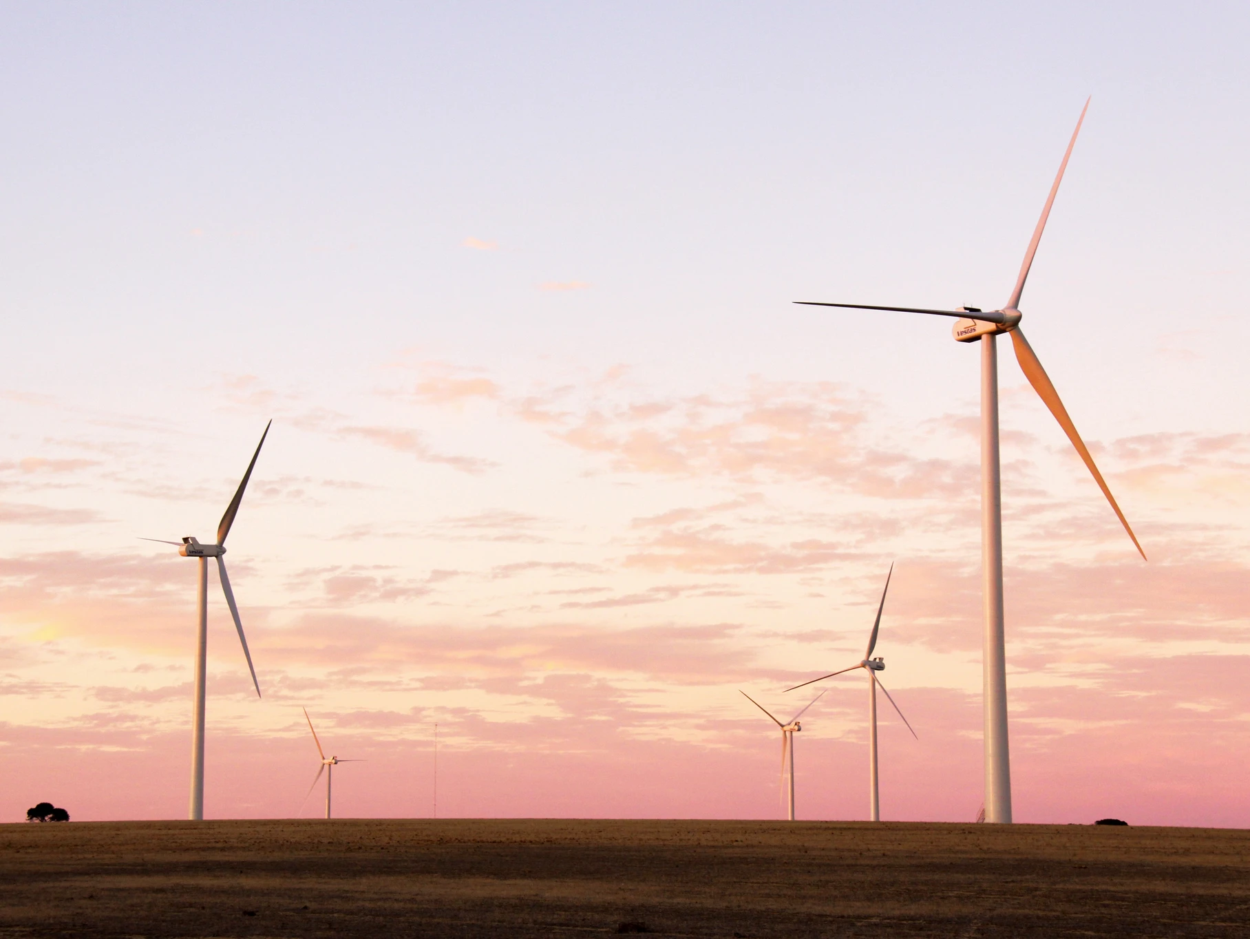 Collgar Becomes Largest Wind Farm in Western Australia