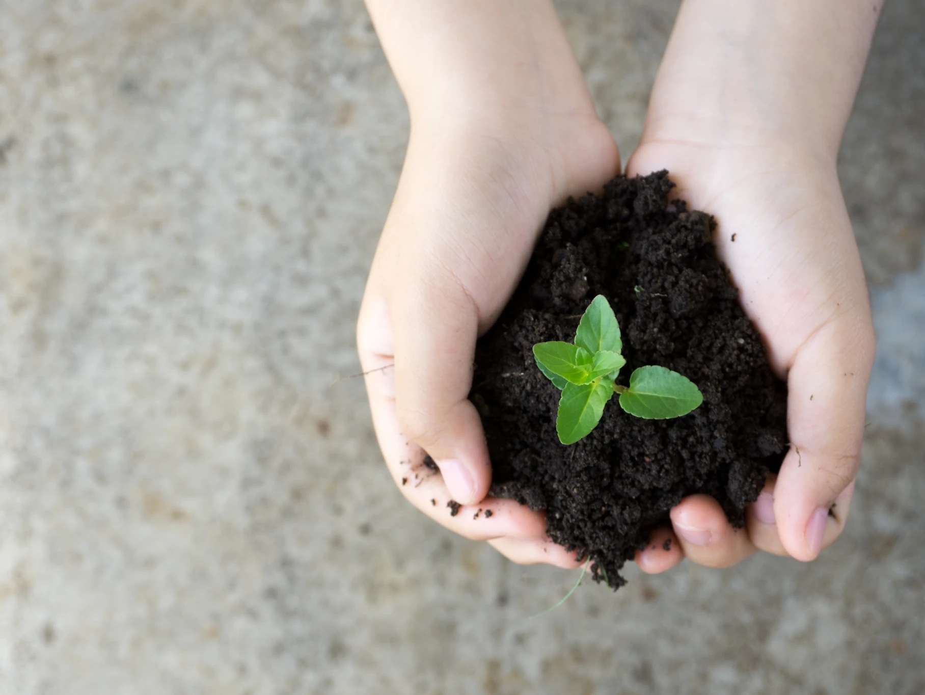 Community Fund News: Level 2 Funding Recipients Announced for Quarter 3, 2022